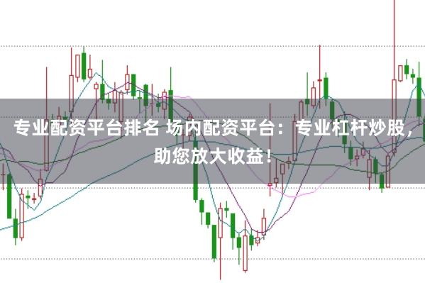 專業(yè)配資平臺排名 場內(nèi)配資平臺：專業(yè)杠桿炒股，助您放大收益！