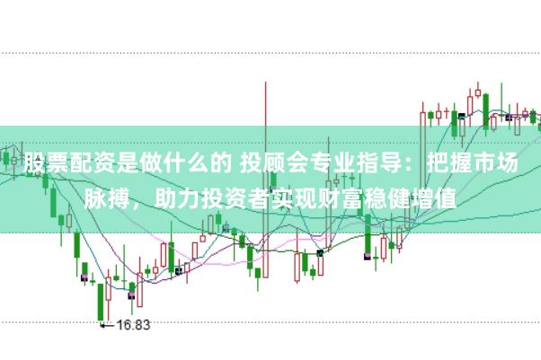 股票配資是做什么的 投顧會(huì)專業(yè)指導(dǎo)：把握市場脈搏，助力投資者實(shí)現(xiàn)財(cái)富穩(wěn)健增值