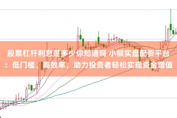 股票杠桿利息是多少你知道嗎 小額實(shí)盤(pán)配資平臺(tái)：低門(mén)檻、高效率，助力投資者輕松實(shí)現(xiàn)資金增值
