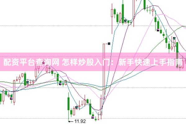 配資平臺(tái)查詢網(wǎng) 怎樣炒股入門(mén)：新手快速上手指南