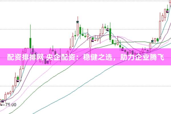 配資排排網(wǎng) 央企配資：穩(wěn)健之選，助力企業(yè)騰飛