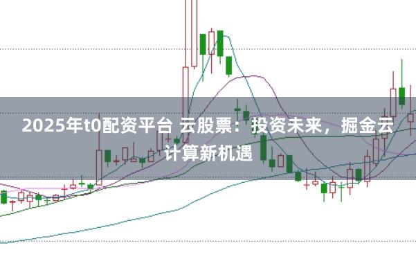 2025年t0配資平臺(tái) 云股票：投資未來(lái)，掘金云計(jì)算新機(jī)遇