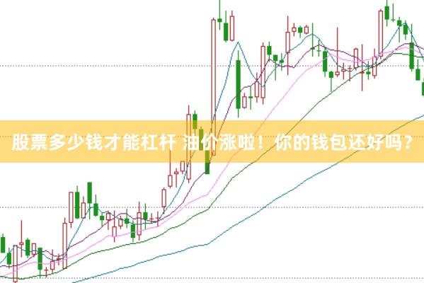 股票多少錢才能杠桿 油價漲啦！你的錢包還好嗎？
