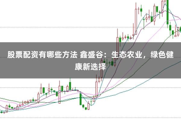 股票配資有哪些方法 鑫盛谷：生態(tài)農(nóng)業(yè)，綠色健康新選擇