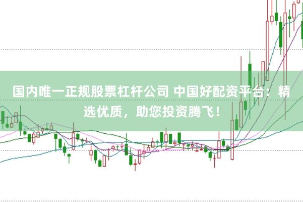 國(guó)內(nèi)唯一正規(guī)股票杠桿公司 中國(guó)好配資平臺(tái)：精選優(yōu)質(zhì)，助您投資騰飛！
