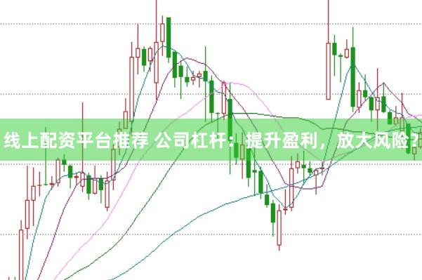 線上配資平臺(tái)推薦 公司杠桿：提升盈利，放大風(fēng)險(xiǎn)？