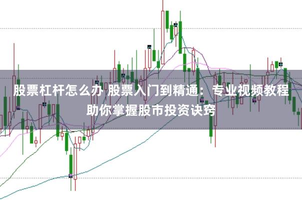 股票杠桿怎么辦 股票入門到精通：專業(yè)視頻教程助你掌握股市投資訣竅